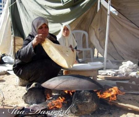 ستي آمنه* ام محمود